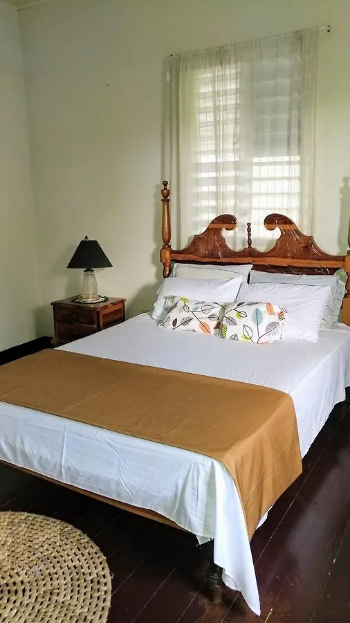 Cartref Creative Cribs Hotel Port Maria Guest house